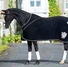 Customize Equestrian Supplier High Quality Horse Rugs Winter Waterproof Essential Standard Neck Blanket for Horses - Product Image 2