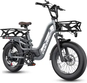 Fucare Libra US Stock 400LBS Carga máxima Fat Tire Suspensión completa 2 asientos E-Bike 750W 48V 20Ah Bicicleta eléctrica de largo alcance para adultos