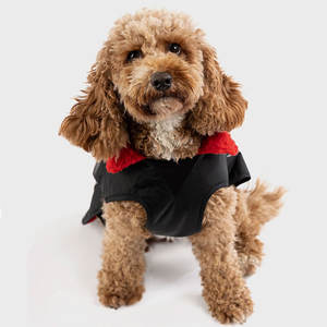 बिक्री/वाटरप्रूफ और लुभावनी सामग्री के लिए शीर्ष ट्रेंडिंग नए आगमन कुत्ते कोट को सबसे कम कीमत पर बनाया गया कुत्ता कोट - Product Image 3