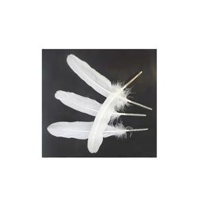 Plumes d'oie lavées de haute qualité 95% - Artisanat - Super douces - Couette en plumes d'oie et de canard - Vente en gros - Product Image 1