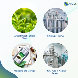 Huile de thé vert 100% pur et naturel en gros en vrac prix le plus bas emballage personnalisé - Product Image 4