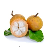 Santol Wild Food Grade Poederextract Tropisch Fruitextract Functioneel Voedingsmiddel Drank Alle Seizoenen Siammit Merk Groothandel OEM