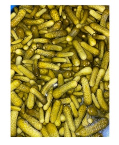 Concombres marinés OEM de haute qualité du Vietnam avec le prix le moins cher-Food Products Hot Selling - Product Image 3