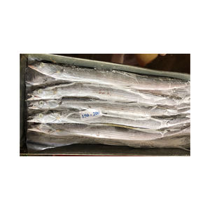 Poisson ruban congelé, vente en gros, prix bas, qualité supérieure, produits de la mer - Product Image 6