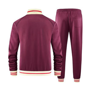 Conjunto deportivo para hombre, chaqueta con cremallera de poliéster, pantalones ligeros y transpirables, ropa deportiva. - Product Image 3