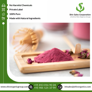 Venta mundial por el fabricante Certificado ISO Extracto de Rosa puro en polvo Extracción con solvente de cultivo silvestre de la mejor calidad - Product Image 2