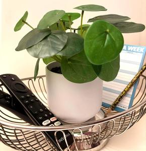 Bol décoratif en fil simple pour la table de cuisine, présentoir à fruits, organisateur de rangement et décoration d'intérieur élégante, salle à manger moderne - Product Image 5