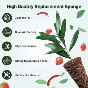 Blocs de culture en cocofibre biologique pour semis, terreau nutritif, hydroponie, croissance rapide des racines, prévention de la pourriture, écologique, biodégradable - Product Image 6