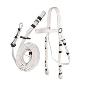 Bridon de cheval en PVC avec rênes à poignée en caoutchouc, boucles en acier inoxydable, bridon en PVC personnalisé avec martingale assortie - Product Image 1