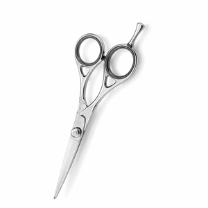 Tijeras de Peluquería Profesionales de 6.5 Pulgadas, Acero Inoxidable, Diseño Hueco, para Uso en Salón - Product Image 1