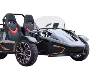 Prêt à la livraison Tricycles inversés 350cc DIY de qualité industrielle Buggy des dunes à 3 roues OEM et ODM pris en charge - Product Image 2