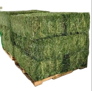 Meilleur prix vente sur la luzerne Timothy Hay Feed Premium Animal Feed pour Cheval Chien Bovins Moutons Aliments séchés dans un emballage en sac - Product Image 3