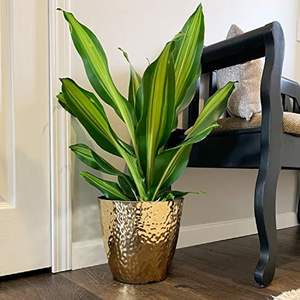 Pot de fleurs en métal martelé durable Conteneur de jardin extérieur résistant à la rouille pour les trous de drainage à la maison pour les plantes à fleurs - Product Image 3