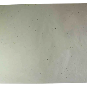 Papier recyclé en coton de qualité supérieure, fait à la main, couleur crème, taches de graines, 300 g/m² - Product Image 1