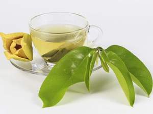 ARTÍCULO CALIENTE HOJAS DE GRAVIOLA/HOJAS DE SOURSOP SECAS/EL MEJOR INGREDIENTE PARA EL TÉ DE ASIA A PRECIO COMPETITIVO - Product Image 6