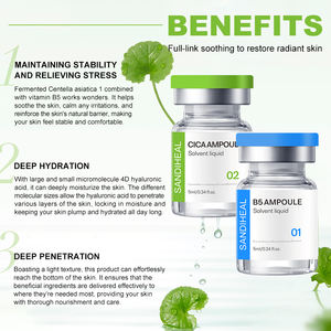 Ampolla de ácido hialurónico B5 Sanendi OEM para el rostro, Heartleaf, para una piel radiante y luminosa, set de cuidado de la piel micronizado, 10 viales - Product Image 4