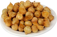Poudre et bulbes d'ail de montagne très demandés pour l'aromatisation culinaire, compléments alimentaires à base de plantes, santé cardiaque, disponibles à la vente