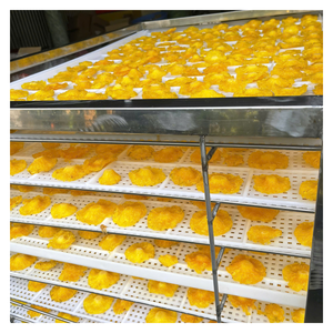 สับปะรดอบแห้งแบบนุ่มธรรมชาติที่ไม่มีน้ำตาลเพิ่มอายุการเก็บรักษาที่ยาวนานพร้อมสำหรับการผสมขนมขบเคี้ยวชุดของขวัญและข้อเสนอฉลากส่วนตัว - Product Image 6