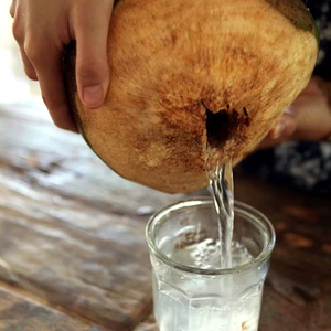 มะพร้าวธรรมชาติจากเบนท์เวียดนามรสชาติหวานสีเขียว - Product Image 1