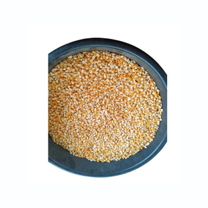 ข้าวโพดเหลืองบรรจุภัณฑ์แบบขายส่ง ข้าวโพดสะอาด จัดจำหน่ายสำหรับผู้ซื้อจำนวนมาก - Product Image 6