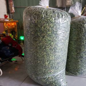 Feuille de citron vert, ingrédient culinaire du Vietnam, largement utilisé dans les menus des restaurants, les produits emballés et le commerce de gros à l'étranger - Product Image 4