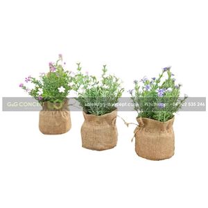 Macetas de tela de saco de arpillera de alta calidad para el hogar y el jardín, decoración interior, producto de exportación de Vietnam - Product Image 5