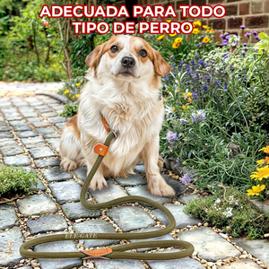 Guinzaglio da Addestramento in Nylon Antiscivolo Durevole per Cani, Corda Retrattile in Ferro, Personalizzabile, Lusso, Stile Western, Solido, Semplice, Classico - Product Image 6