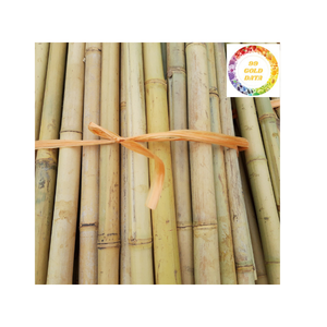 เสาไม้ไผ่ธรรมชาติเป็นมิตรกับสิ่งแวดล้อมรองรับการก่อสร้างและทำสวนอย่างยั่งยืนมีหลายขนาด - Product Image 5