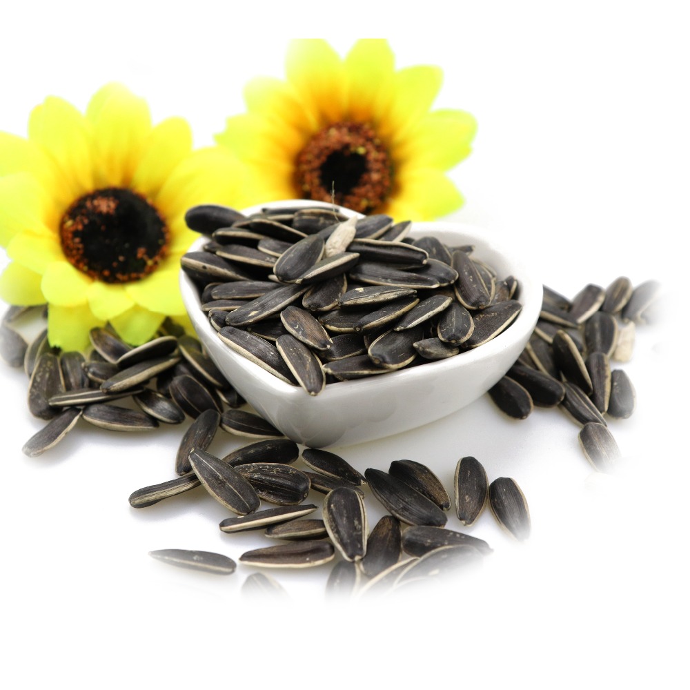 Fast Delivery Raw Sunflower Seeds Dried Kernels in Bag Packaging High Quality Food Grade Seeds For Sale Buy Today