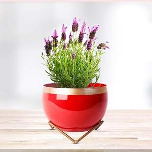 Modern Elegant Handcrafted Stainless Steel Flower <b>Vase</b> <b>Unique</b> Design for Displaying Fresh Blooms on Tabletop - Product Image 3