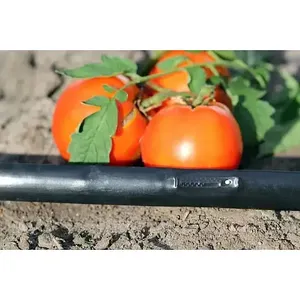 Manguera de goteo plana Celik Powerdrip de 15 cm, 6 mils, F17 - rollo completo de 2500 m - Product Image 4