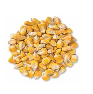 Obtenga maíz reventado a granel a precios de mayorista Ideal para cines y empresarios de palomitas de maíz - Product Image 4