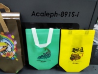 Imprimante UV à passage unique avec machine de pagination par adsorption pour l'impression de sacs en plastique, de sacs en tissu non tissé