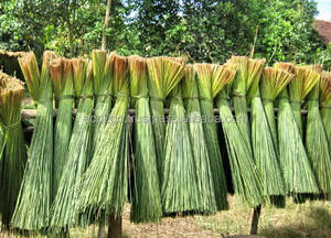 100% ใหม่หลอดดูดหญ้าวัสดุ PC ย่อยสลายได้เป็นมิตรต่อสิ่งแวดล้อมกล่องอุปกรณ์สำหรับเครื่องดื่มจากเวียดนาม - Product Image 2