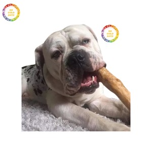 Café duradero perro de madera masticar café palo de madera para masticadores agresivos juguete seguro para mascotas para sus dientes y encías - Product Image 6