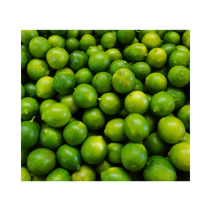 Citron vert frais de qualité supérieure/prix de gros le moins cher de citron, citron vert frais, citron vert frais sans pépins pour les ventes - Product Image 4
