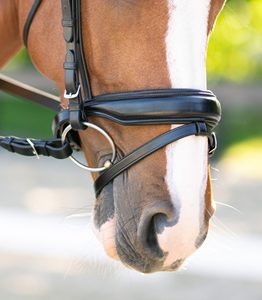 Bride de cheval de conception anatomique Bride en cuir de cheval anatomique - Product Image 4