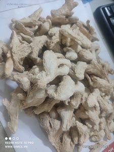 Raíz de jengibre seco a granel de Bao Tram Anh Company de suministro de productos agrícolas frescos de Vietnam - Product Image 2