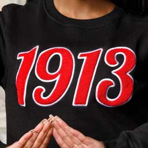 1913 Script Chenille Crewneck <b>Sweatshirt</b> <b>Black</b> Premium Fleece Sorority Apparel Greek DST Delta Casual Winter Top - Product Image 3