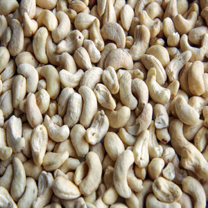 Noix de cajou entières séchées naturelles biologiques de qualité supérieure, prix promotionnel, fournisseur en gros, noix de cajou à vendre - Product Image 1