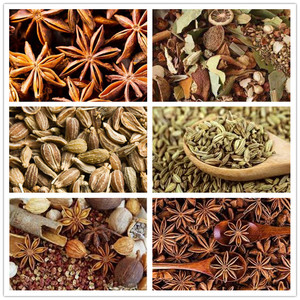 Industriële Sterilisator Voor Magnetron Chia Zaad Sesam Lijnzaad Quinoa Sterilisatie Apparatuur - Product Image 3