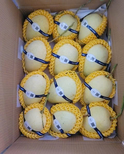 Mango fresco a la venta, proveedor de mango maduro de Vietnam, fruta de mango Dulce Tropical, embalaje de exportación al por mayor para el mercado internacional - Product Image 2