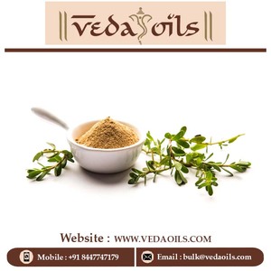 Polvo Brahmi | Bacopa Monnieri, 100% Pure Bacopa Monnieri Extracto en polvo, planta de hierbas Bacopa Monnieri Extracto a precio a granel - Product Image 3