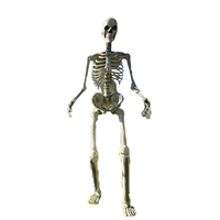 Citrouilles effrayantes de petite taille sur mesure, squelette, décoration d'horreur pour fête d'Halloween