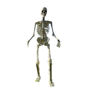 Dimensioni personalizzate zucche spaventose scheletro <span class=keywords><strong>halloween</strong></span> party horror decor - Product Image 5
