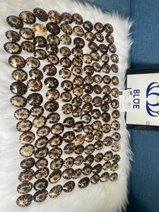 CÁSCARAS DE LÁMPARA NATURAL PARA EMBARAZADAS MEJOR VENDEDOR SHELL MUY RECOMENDABLE MUJER COMFORT MOM'S NIPPLE - Product Image 6