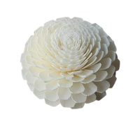 Sola Wood Flower diffuseur de roseau Parfum d'ambiance Fait à la main Sola Flower Echo Friendly Sola Flower Natural to aérer Freshen Reed