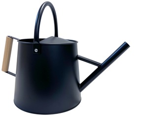 Arrosoir en métal de conception traditionnelle avec finition mate et poignée incurvée idéal pour les cadeaux et le style de jardin - Product Image 6