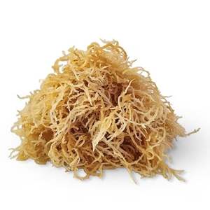 GOLD SEAMOSS MEJOR PRODUCTO PURO Y NATURAL EXPORTACIÓN - Product Image 6