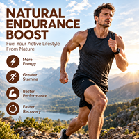 Poudre de superaliments Qidan Reishi, mélange de champignons superaliments, crinière de lion, rhodiola, protéines pour l'énergie, la résistance, l'endurance et les performances